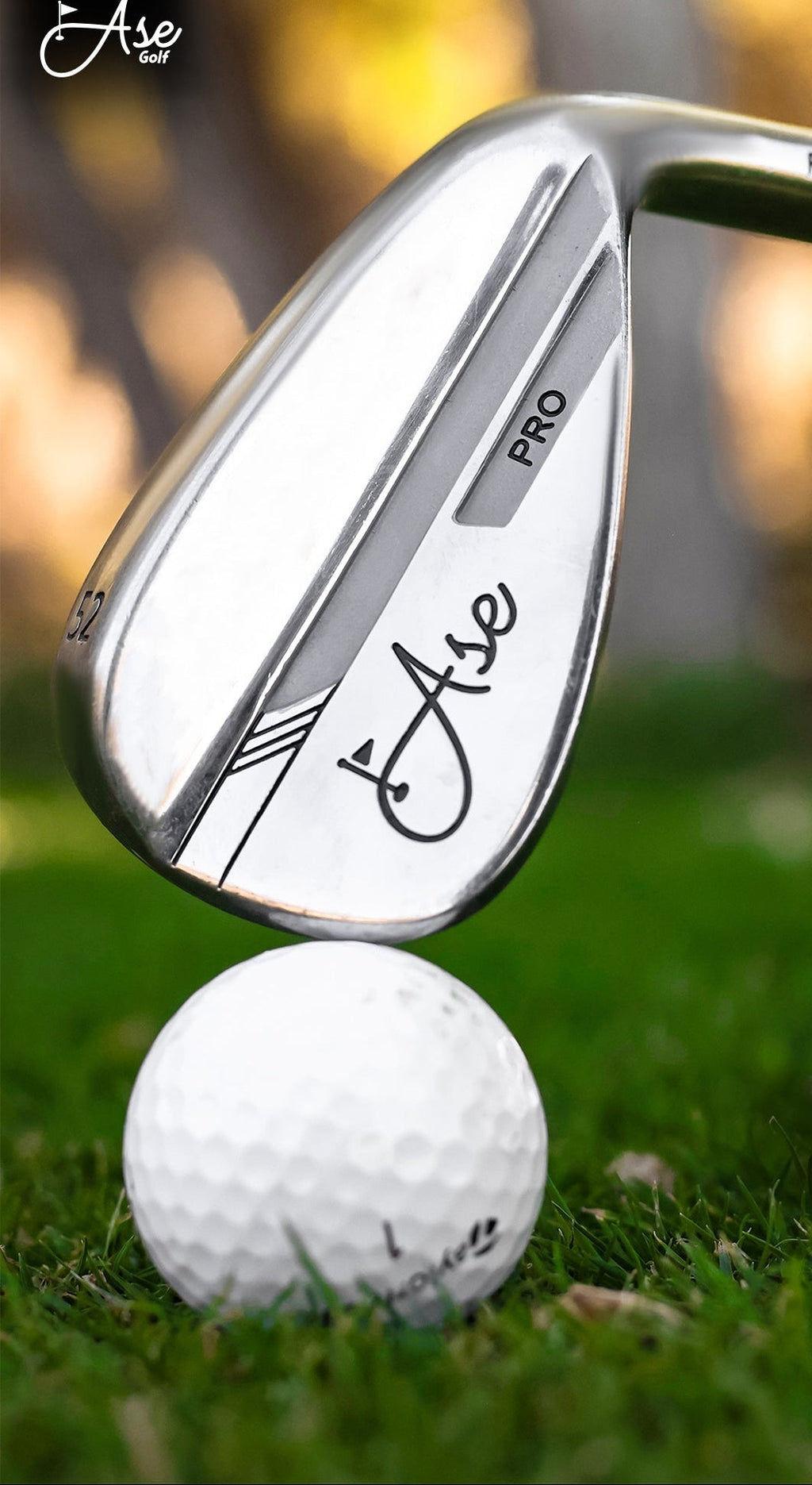 Ase 3-Piece Wedge Set