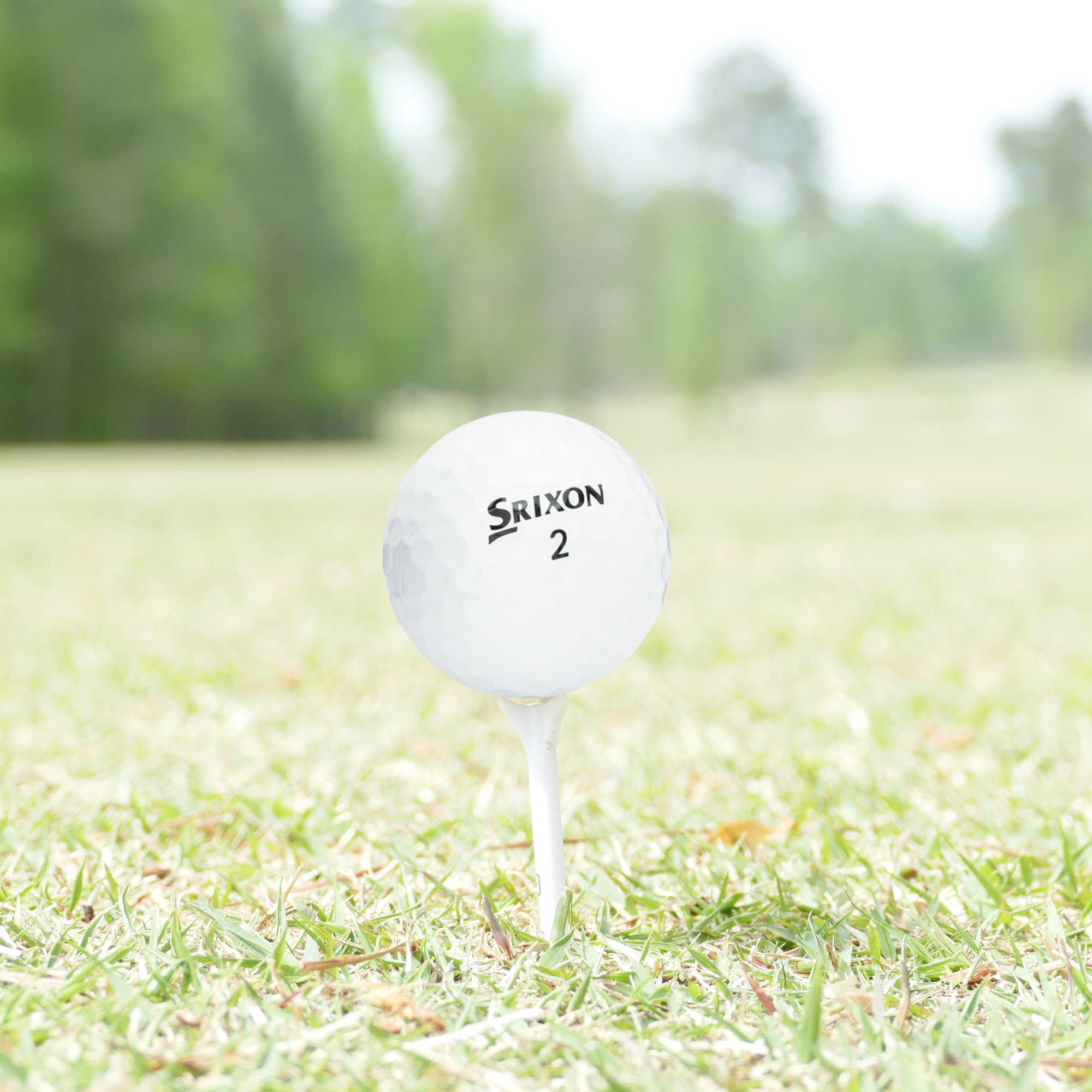 Used Srixon Mix Golf Balls - Mesh Bag