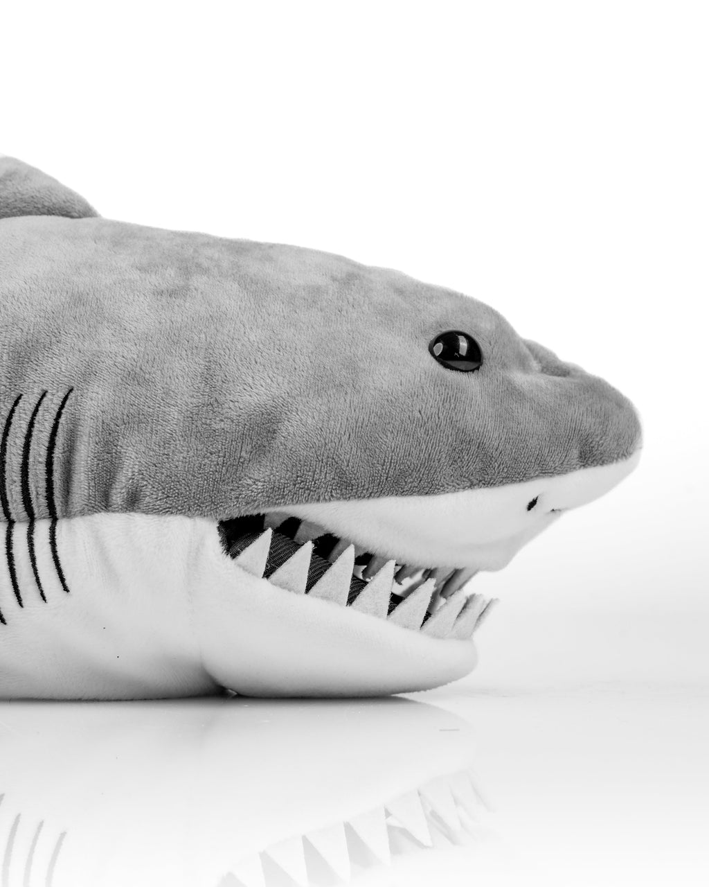 Shark - Driver Headcover