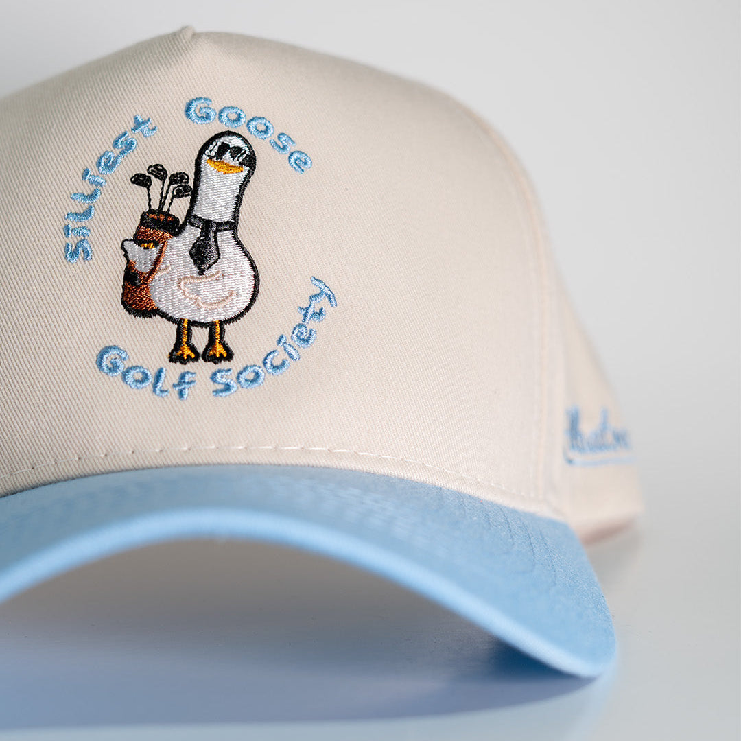 Silly Goose Hat